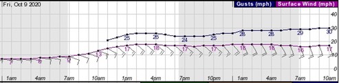 20201008 Pensacola wind-forecast