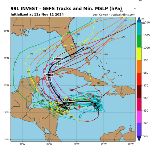 20241112 99L gefs.