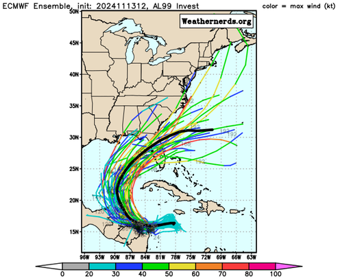 20241113 ECMWF forecast