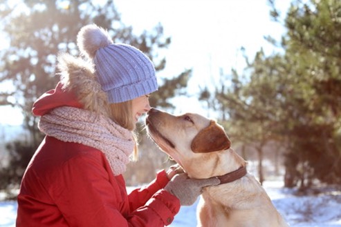 dog walking
