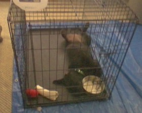 exhausted