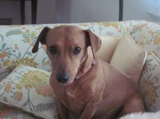 lola