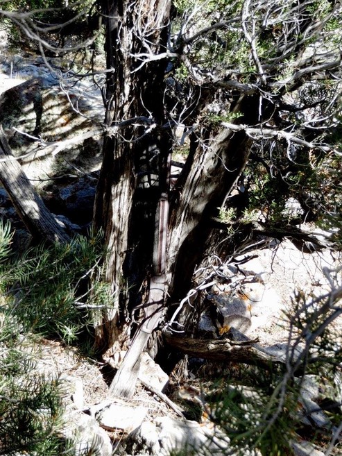 Nevada-Park-Winchester-73-28-as-found-768x1024